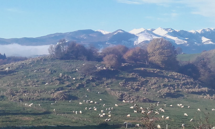 Las primeras nieves llegaron hace unas semanas a Etxarri